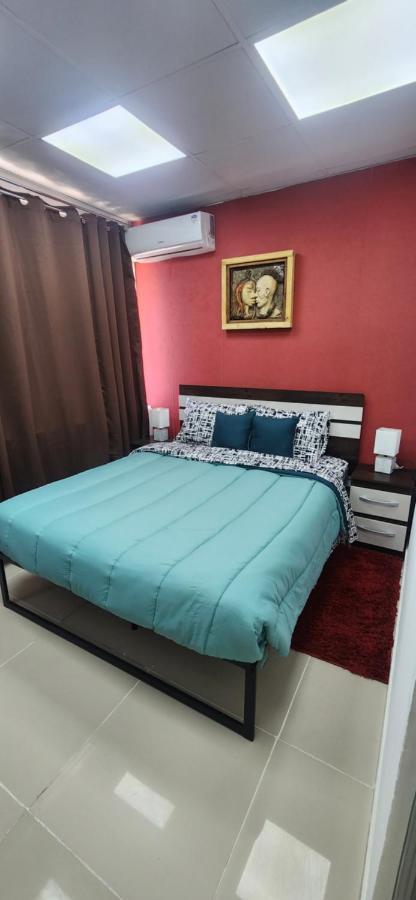 Apartamento Centro Con Vista A La Cordillera Hasta 7pers Y Freeparking